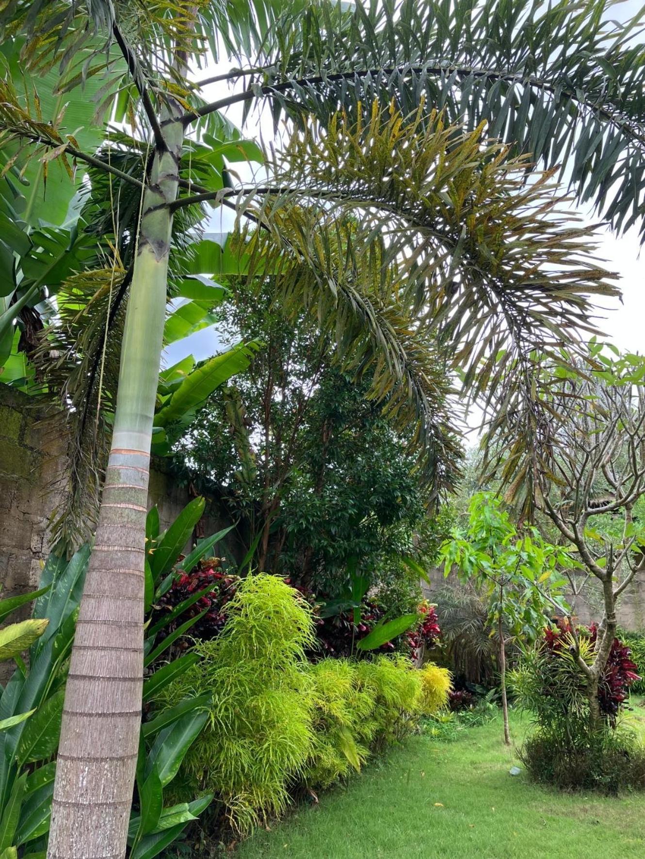Villa Kelana Sidemen  Exterior photo